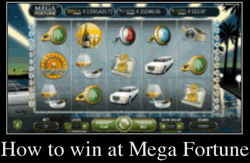 Mega fortune 276058